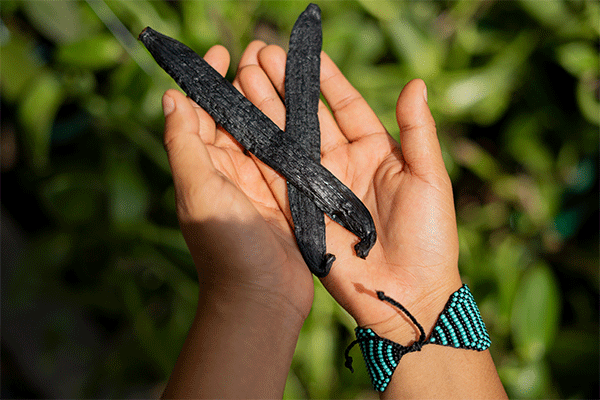 Commitment and Sustainability