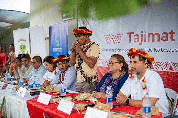 Transparency and Accountability